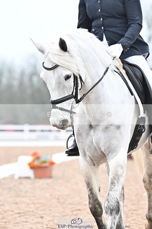 240217A-114107-01990 - 230-Sonya.Fitch-Peyton-Dinnarthal.Buzzard