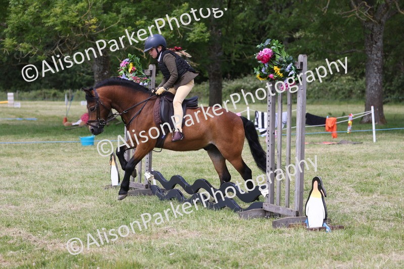 20260614-1824 - Class 21 - Novice Working Hunter Pony