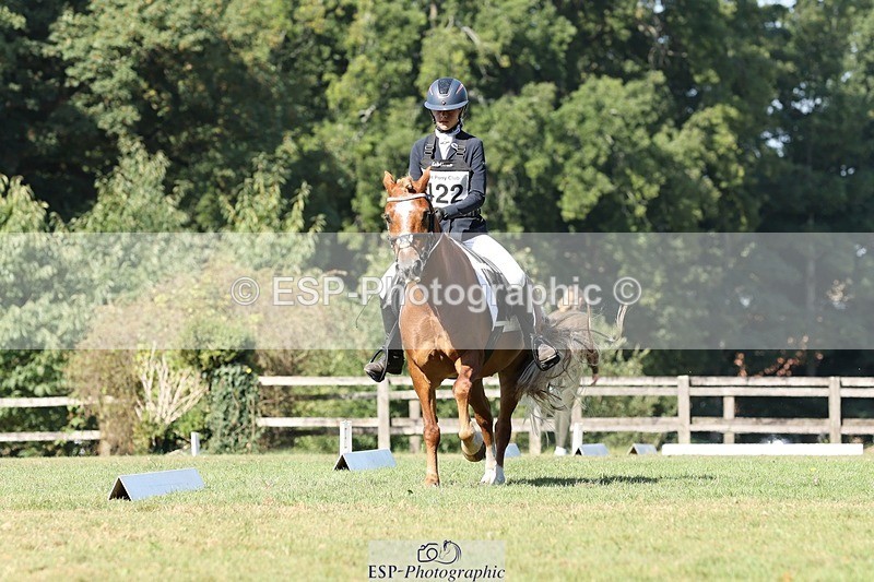 250823A-103933-27769 - Arena D