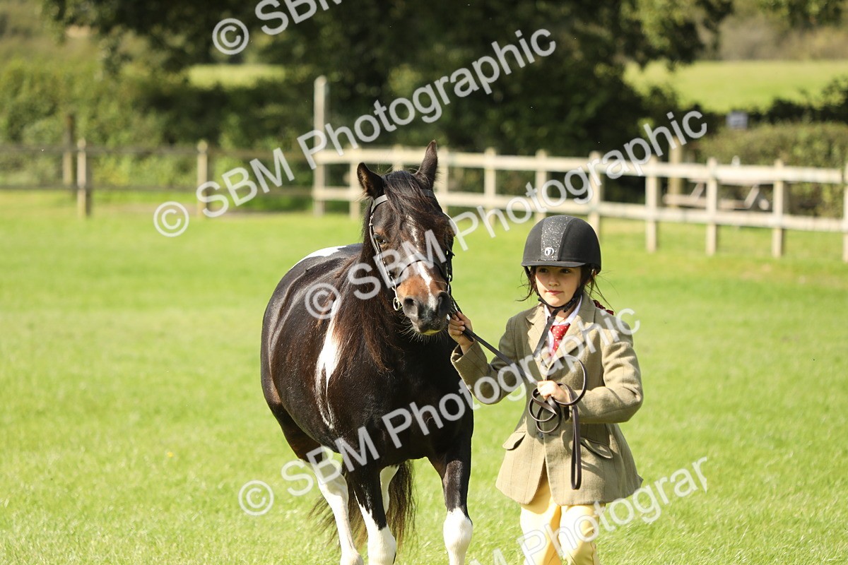 SBM_67782 - S39 - Junior Handler 8  Years & Under