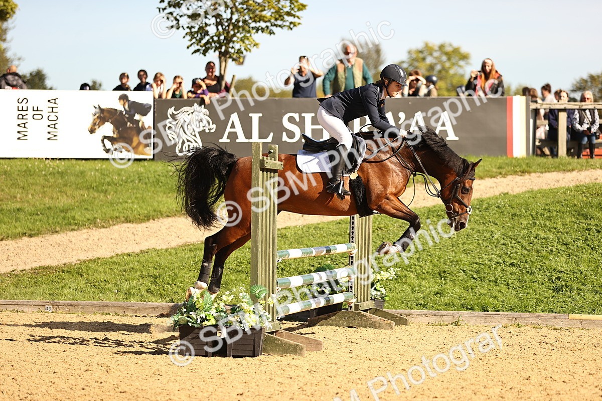 SBM_38209 - J39 - Senior 85cm Championship