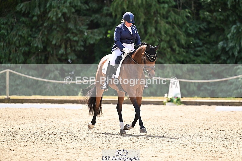 260802A-120951-06114 - Novice Silver break- end