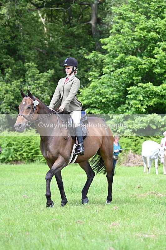 WJ7_1277 - Class 11 Condition & Turnout