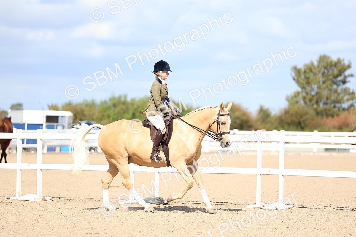SBM_13356 - Class 311 - Ridden Show Pony Show Hunter Pony