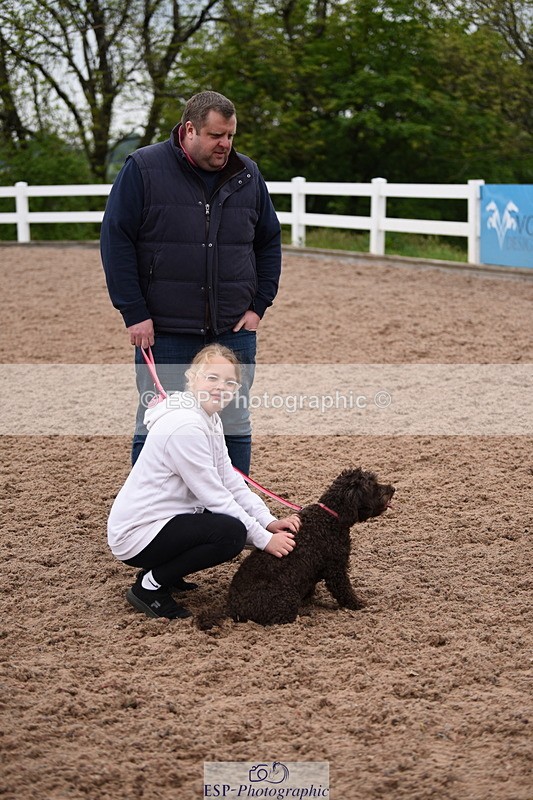 240518A-122220-01131 - Cls 4 Best Crossbred