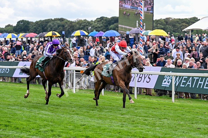210826-Race 2-Al Nayyir-5403 - Race 2 14.25pm Weatherbys Lonsdale Cup Stakes