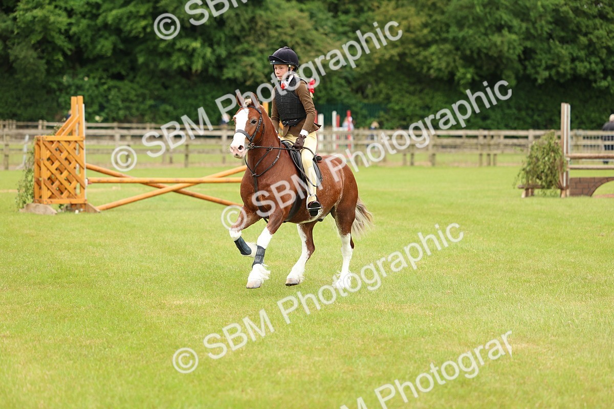 SBM_10355 - Class 44-45 - LIHS BSPS Open Nursery and Cradle Stakes