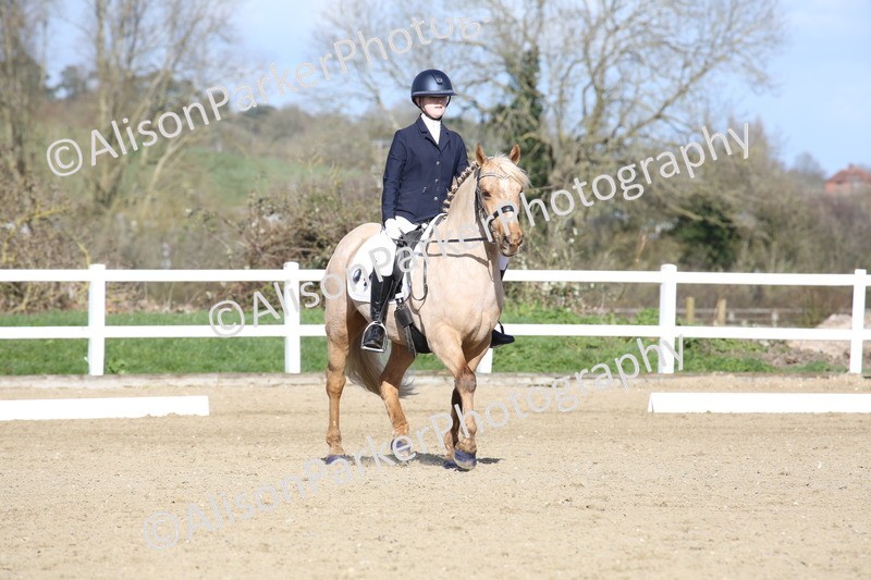 20260314-5162 - DR6 - Novice 2