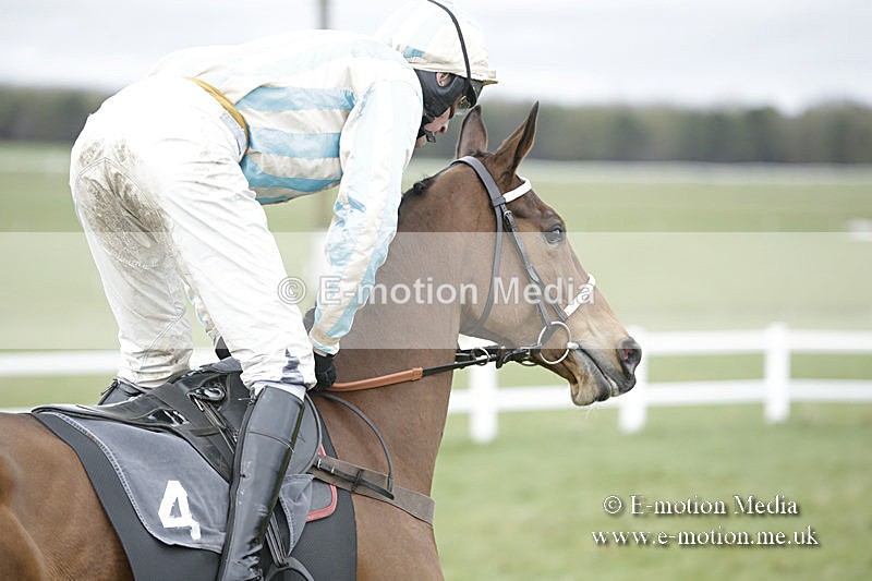 PtP 150320 0556 - New Forest Point-to-Point Larkhill 15/03/20