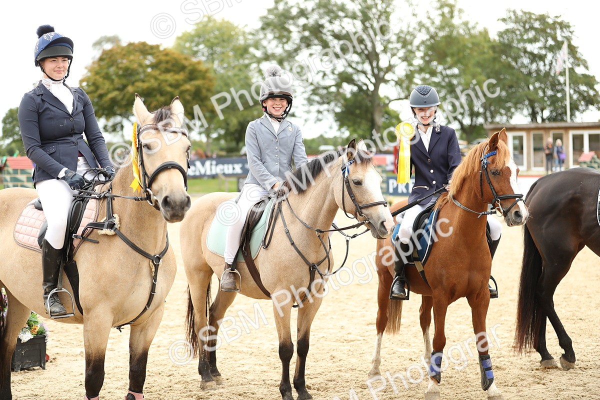 SBM_66064 - J48 - Pairs Jumping Open 70cm & 85cm