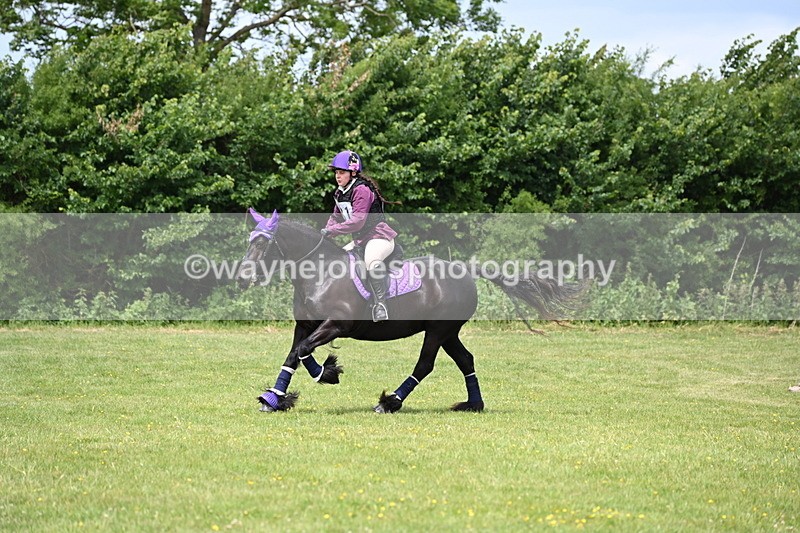 WJ6_3304 - Class 4 60cm