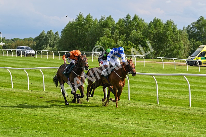 180624-Race 5-Sea The Dream-0566 - Race 5