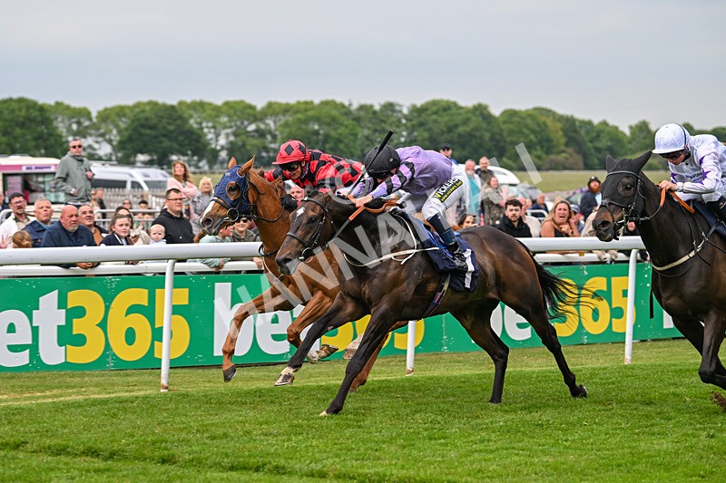 240525-Race 7-Union Island-2157 - Race 7