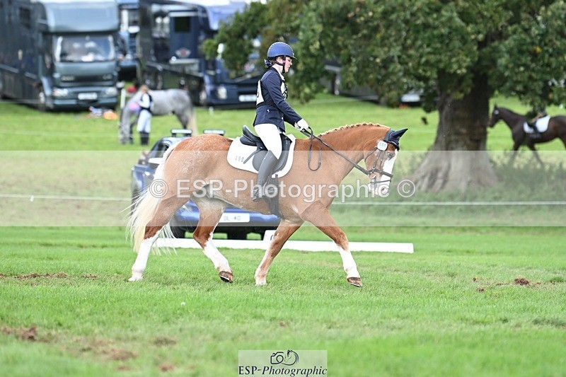 231020-143630-10682 - 499-GORFELYN.PETER.THE.GREAT-Charlotte.Bellamy-DR