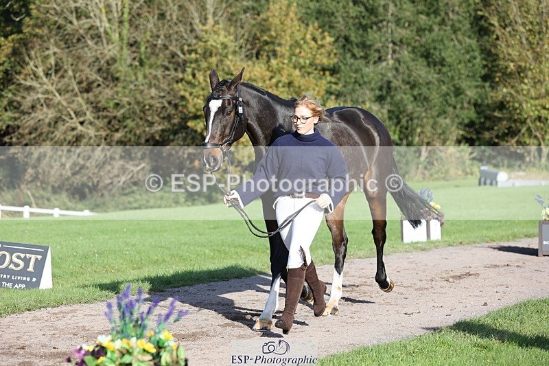 241027-094504-15483 - 365-Charlotte.Cutler-HOLY.STREET