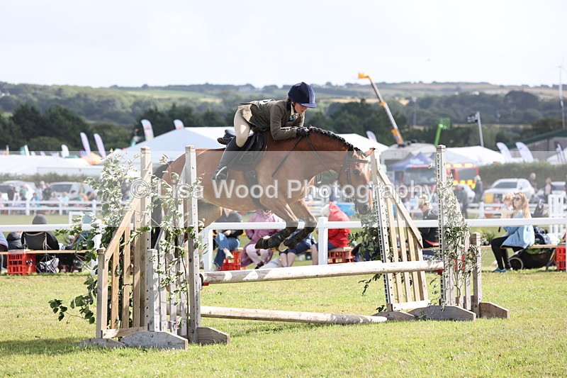 JPP_2624 - Class 20: Working Hunter 70cm