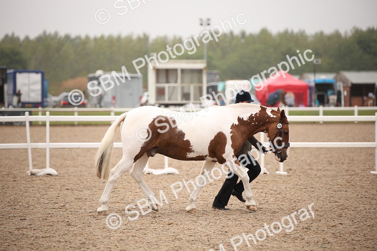SBM_20170 - Class 703 - IH  Coloured