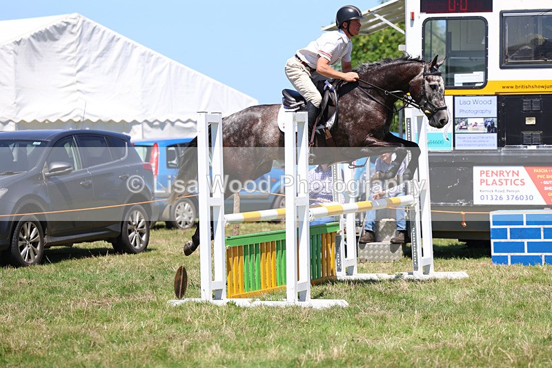 3E7A5456 - Class 9: Senior British Novice/90cm open