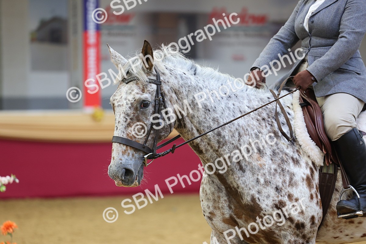 SBM_23741 - Class 904 - Supreme Final Ridden Diamond