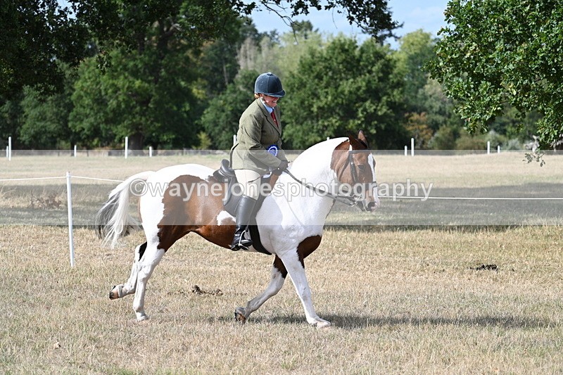 WJ7_7510 - Class 14 Ridden Coloured