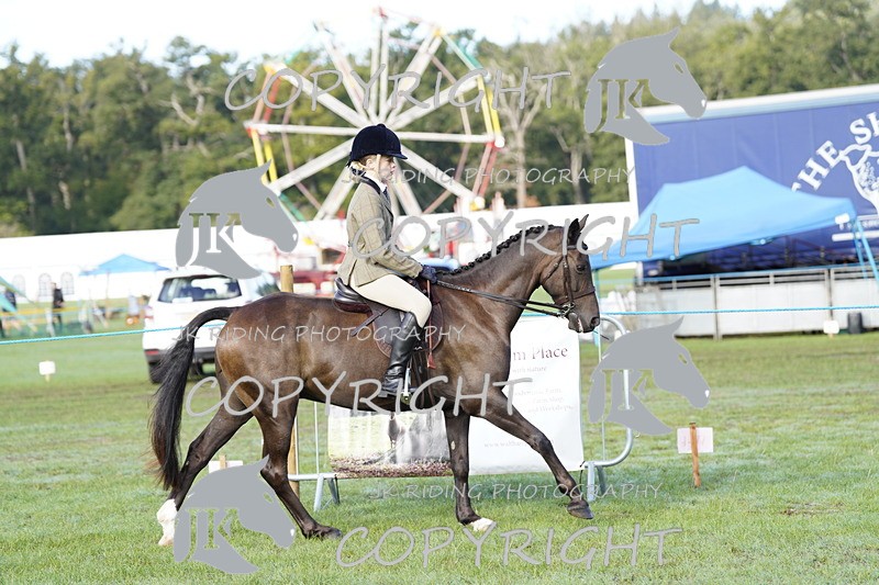 _DSC9338 - Class 8 & 17 Ridden Hunter & Ridden Hunter Pony