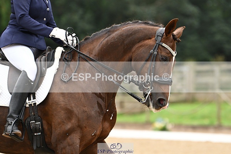 240811-112912-05529 - 106-Jocelyn.Maude-Dea.III