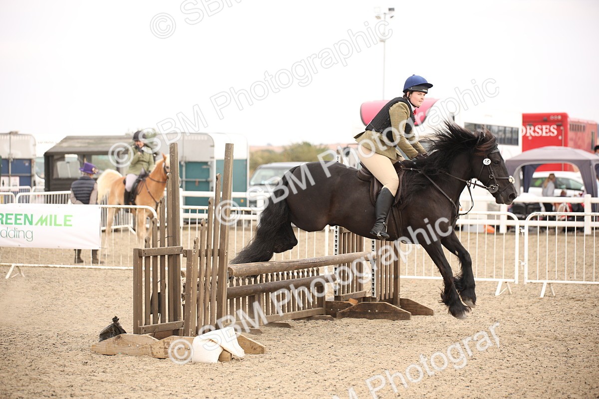 SBM_16188 - Class 409a - Working Veteran 80cm (15-19)