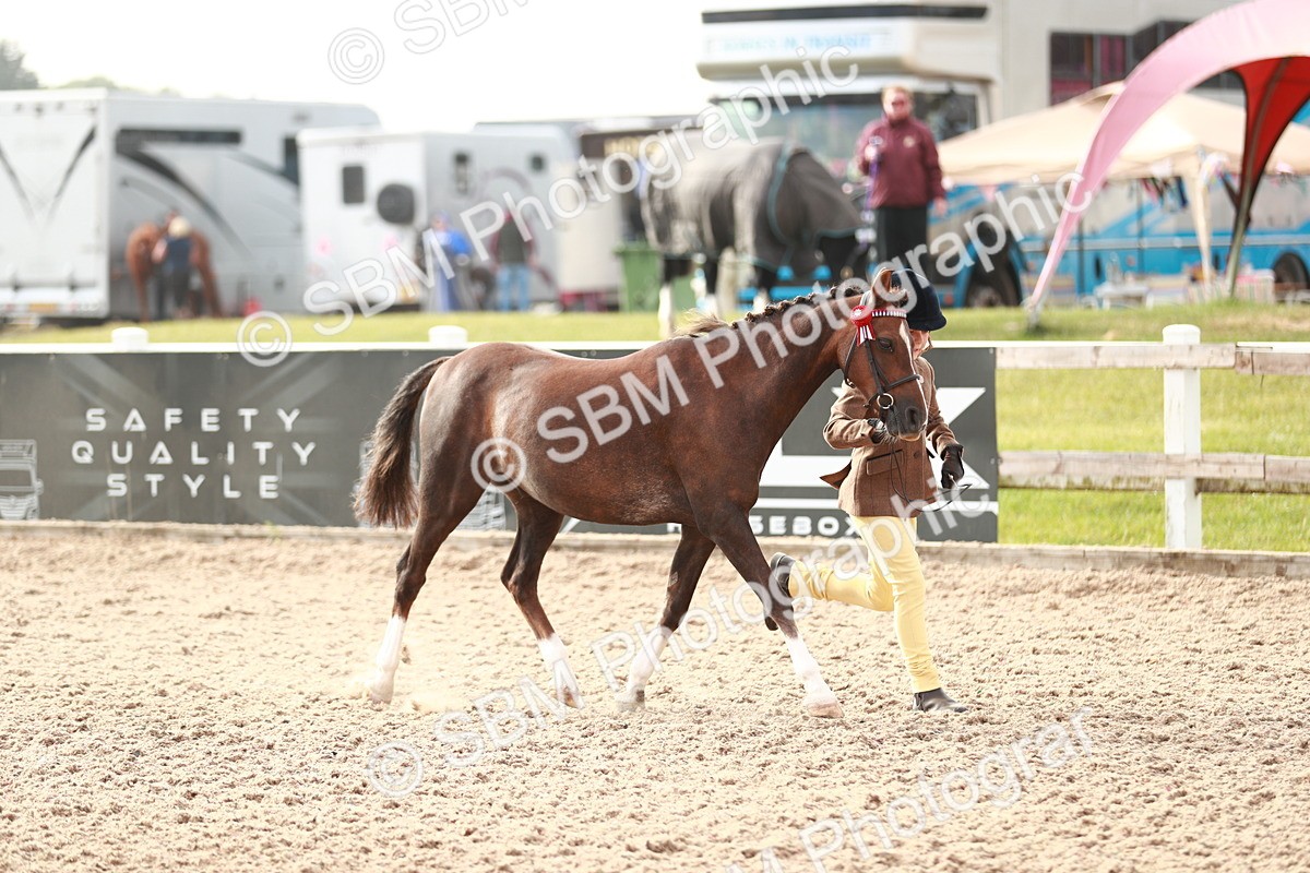 SBM_09855 - Class 203 Young Handler, 10 years and under