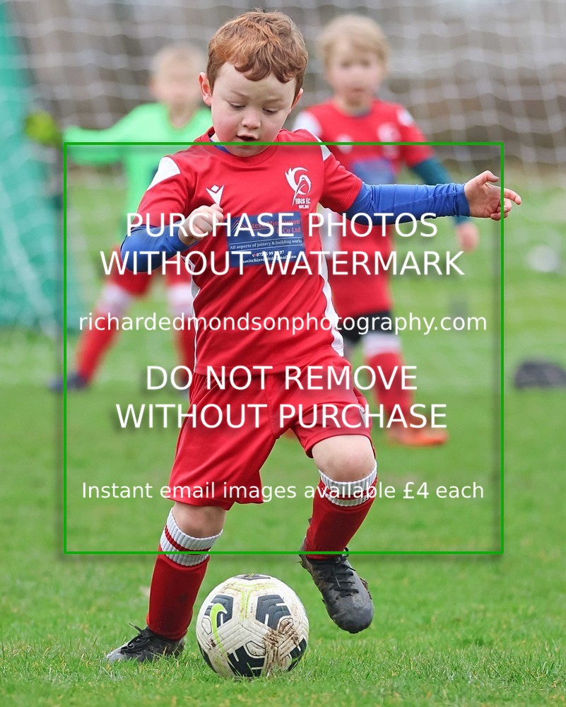 533A1013 - Ibis Under 7's (28/2/26)