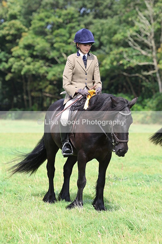 3E7A5924 - Class 26 and 27: 70cm Working Hunter