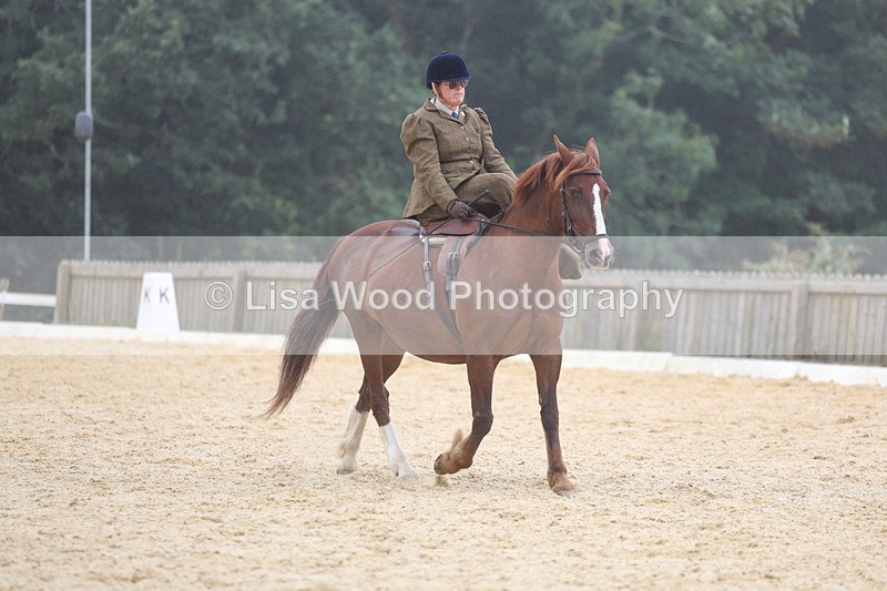 3E7A6848 - Class 5: Prelim to Music