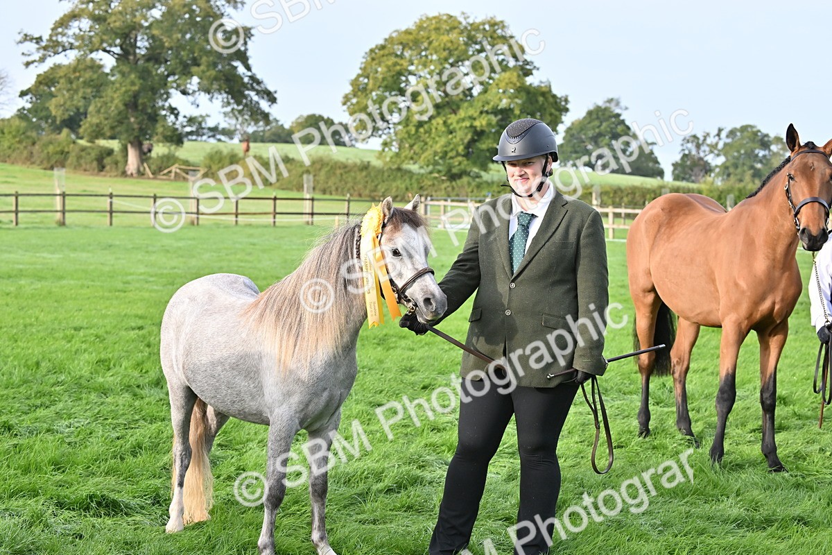 SBM_55400 - S44 - Youngstock In Hand