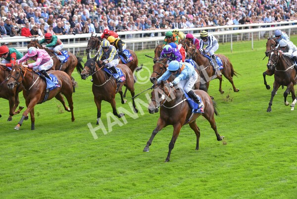 yr18082021r1-71 - Race 1 1.50pm Sky Bet & Symphony Group Stakes