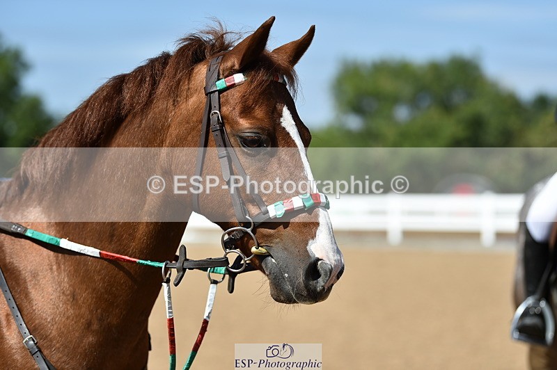 230903A-131430-04638 - Cls 19 Pony Discovery & 90cm Open