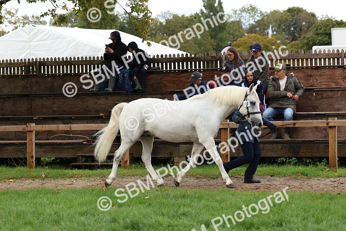 SBM_39476 - S24 - Young Veteran In Hand