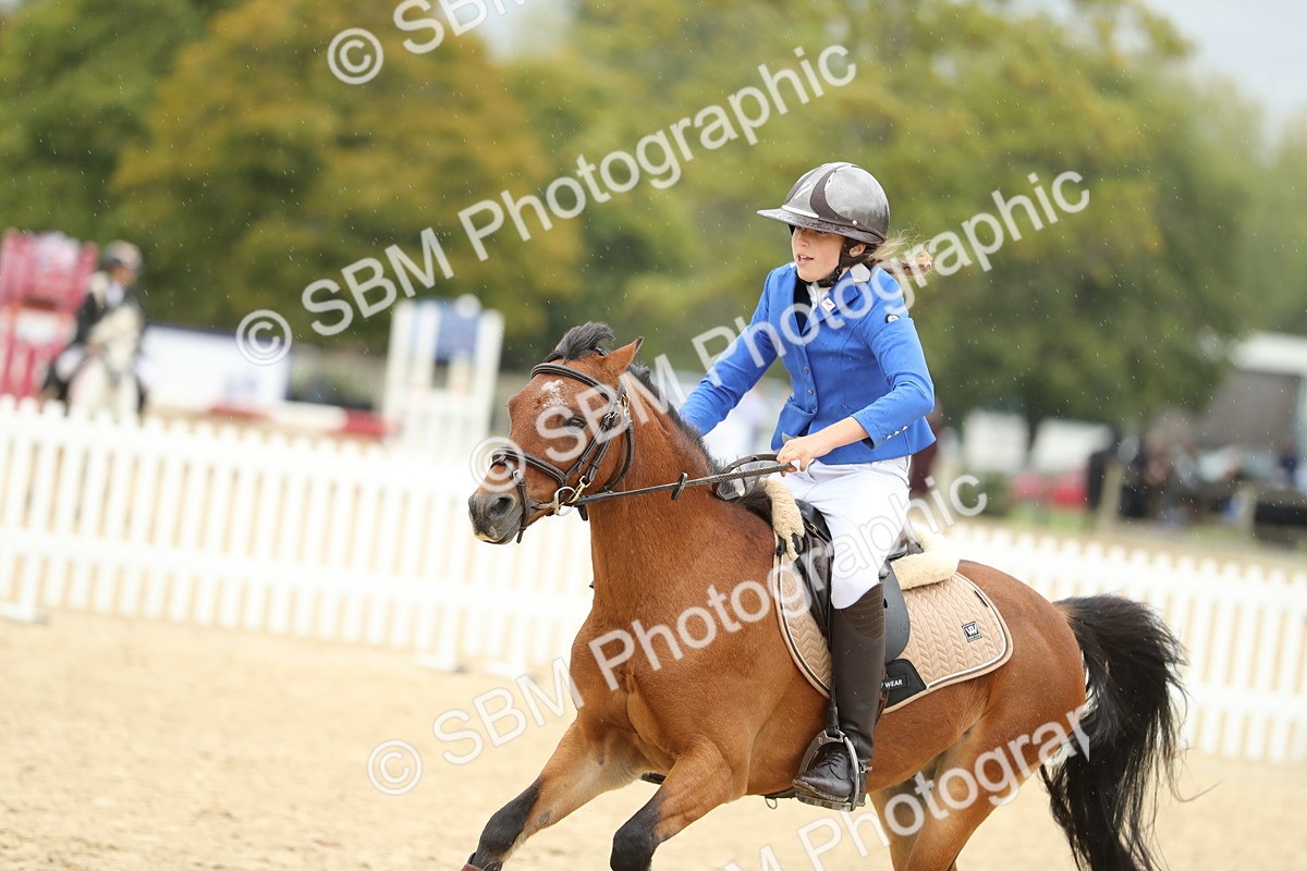 SBM_70150 - J15 - Junior Pony 70cm Championship