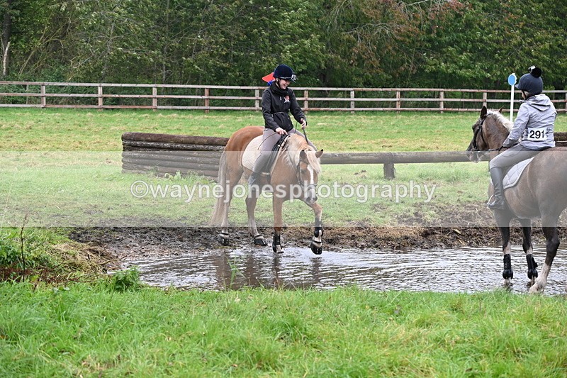 WJ6_8795 - Time at Photographer 14:16 to 14:45