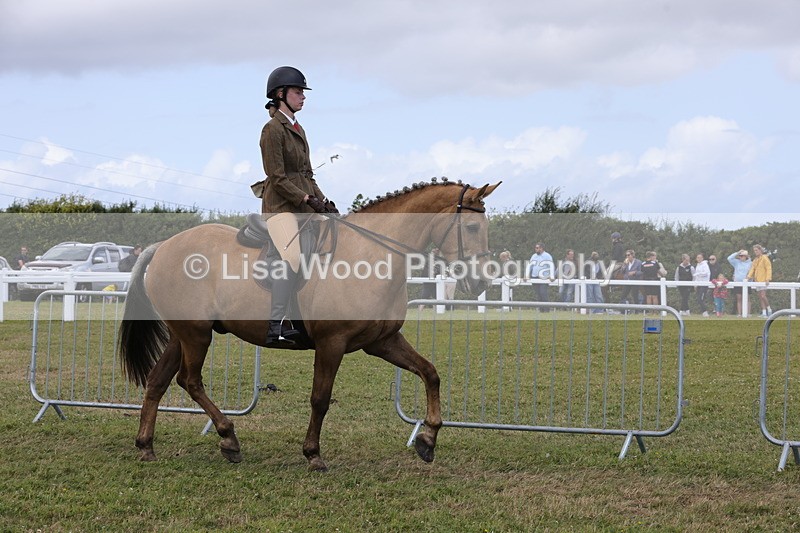 1X9A4650 - Class 34: Veteran Ridden