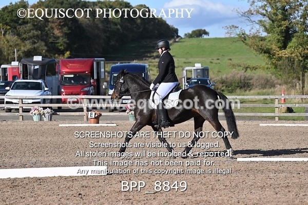 BPP_8849 - SHORT ARENA