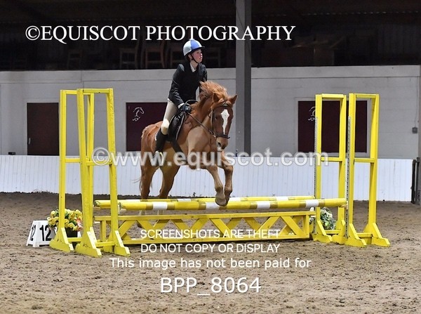BPP_8064 - CLASS 1  Club/ Unaffiliated 60cms Open