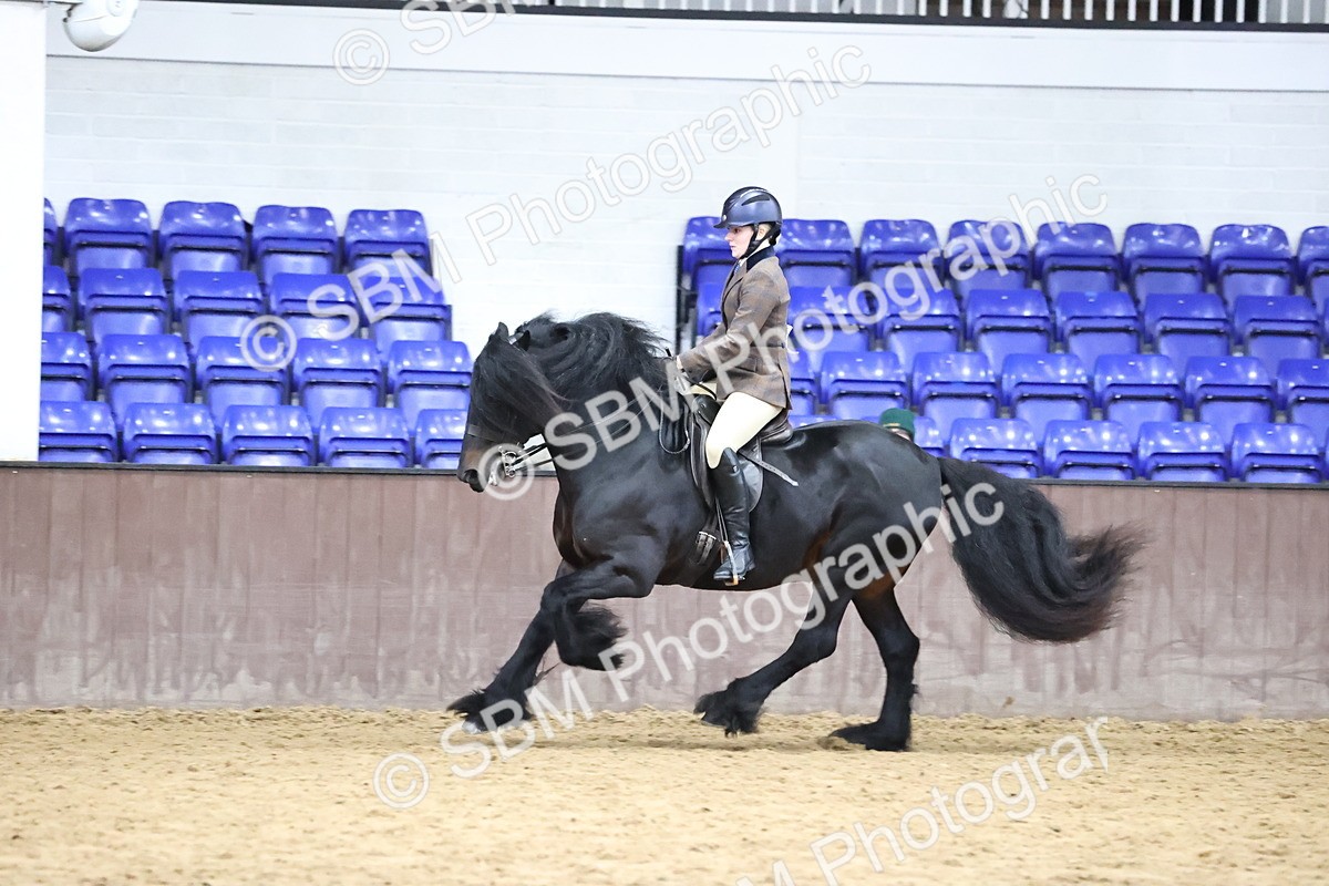 SBM_6552 - Class 43 - Ridden Native Breeds