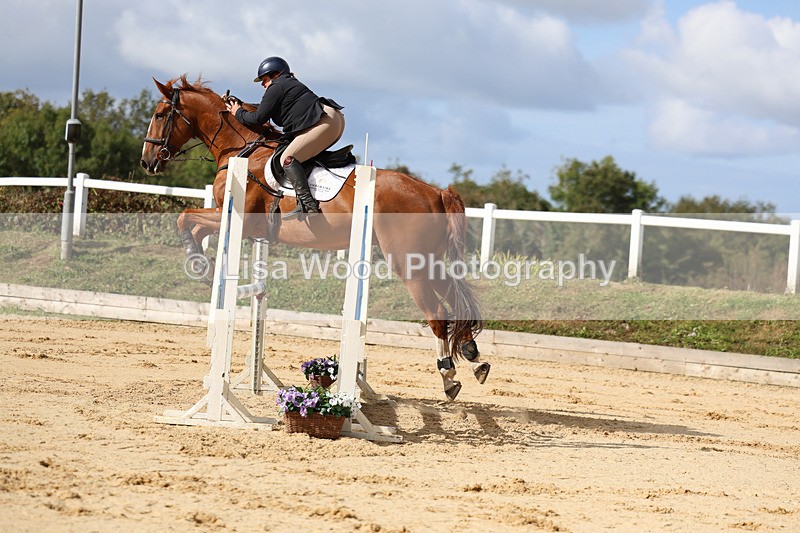 3E7A2118 - Class 4: Senior British Novice/90cm open
