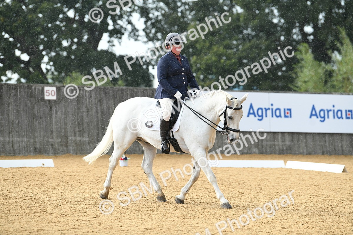 SBM_11108 - D28 Elementary Taster Elementary 42