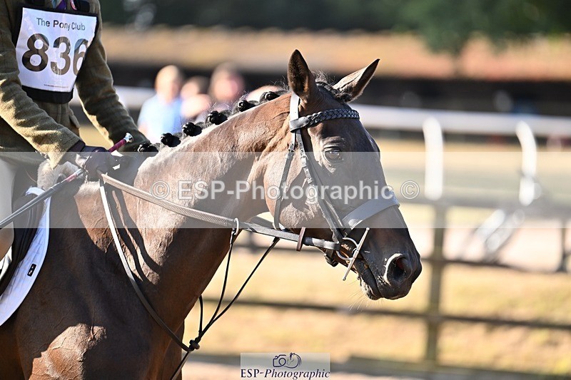 250823A-083851-24747 - NAF Round 1 8.30 to 9.30