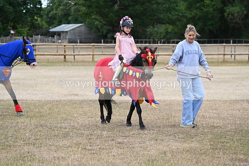 WJ6_8649 - Class 11 Fancy Dress