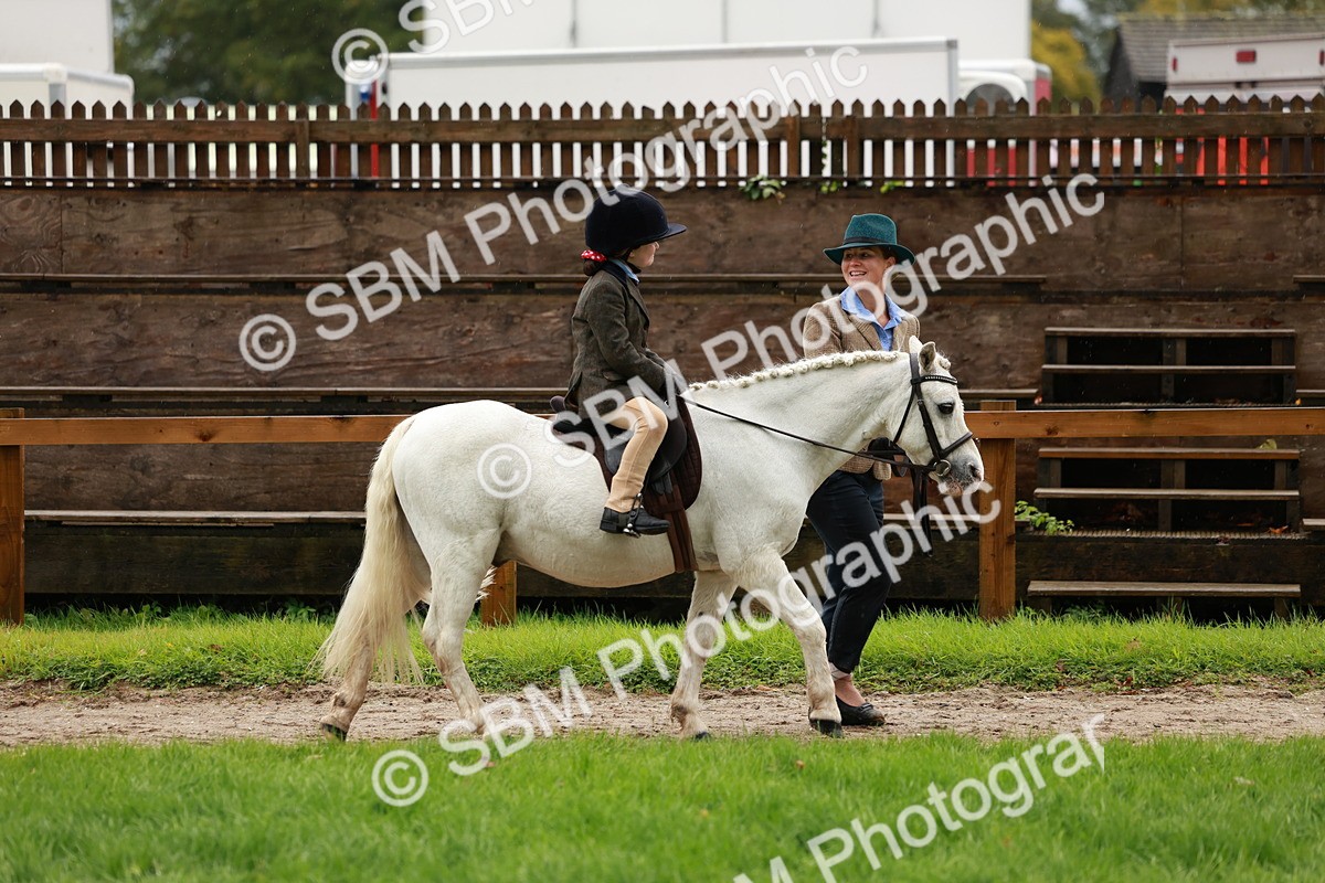 SBM_33734 - S9 - Lead Rein Equitation