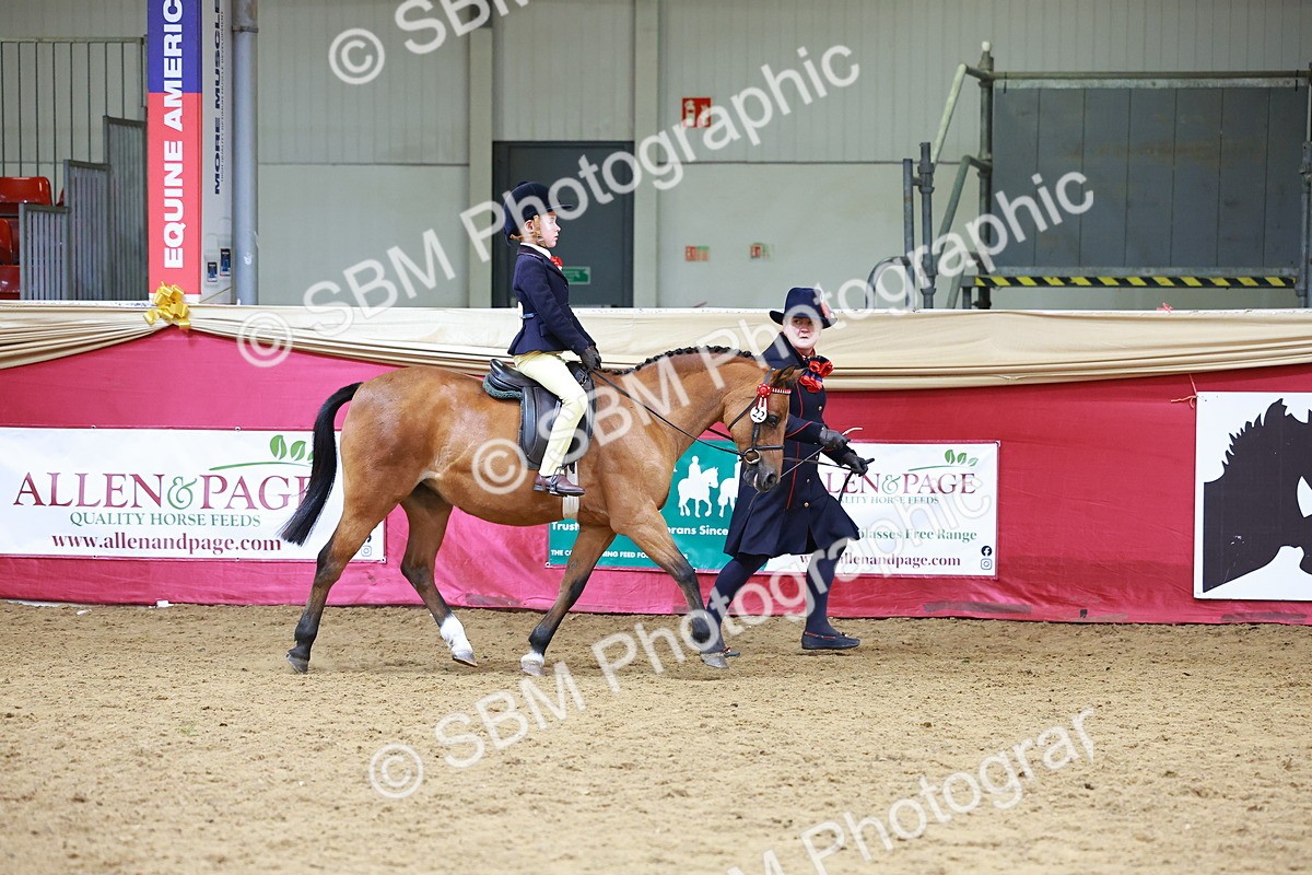SBM_06395 - Regional Ridden Championship
