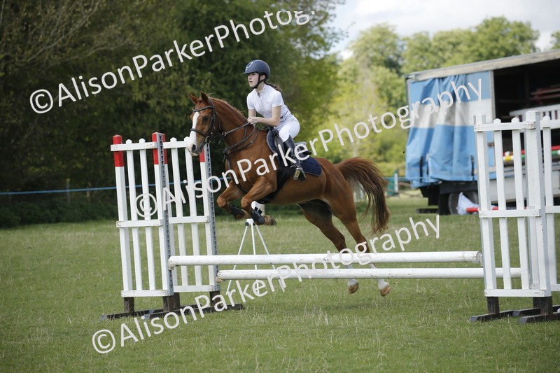 20250427-3691 - Class 14 - Absolute Novice 70cm