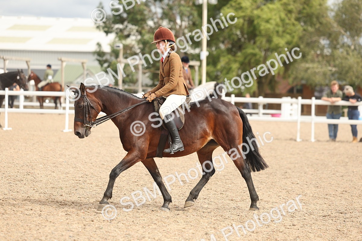 SBM_18008 - Class 314 - Family Horse Pony