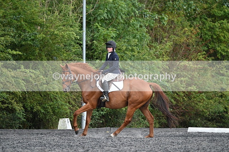 WJ7_7899 - Time 13:40 to 14:00